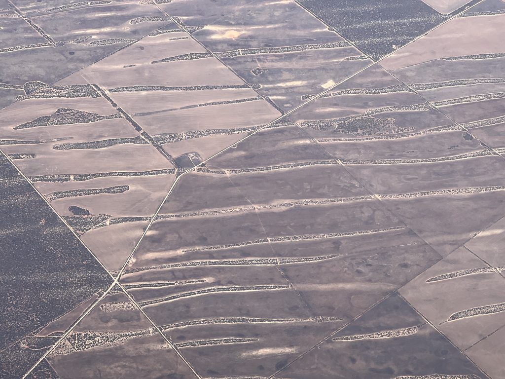 Land seen from a plan flying at 30,000 feet or so consisting of long streaks of trees over a red ochre ground.